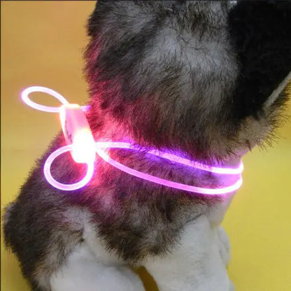 Luminous Dog Strap Pendant Collar