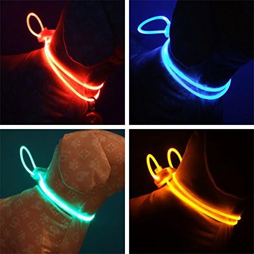 GlowWalk LED Pet Collar